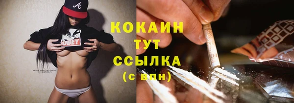 прущие грибы Волосово