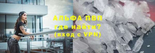 прущие грибы Волосово