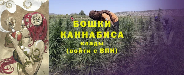 метадон Вяземский